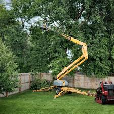 Best Emergency Tree Removal  in Rocky Top, TN